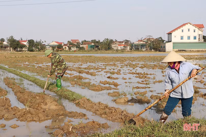 Nắng lên, nông dân Hà Tĩnh tất bật xuống đồng triển khai vụ xuân