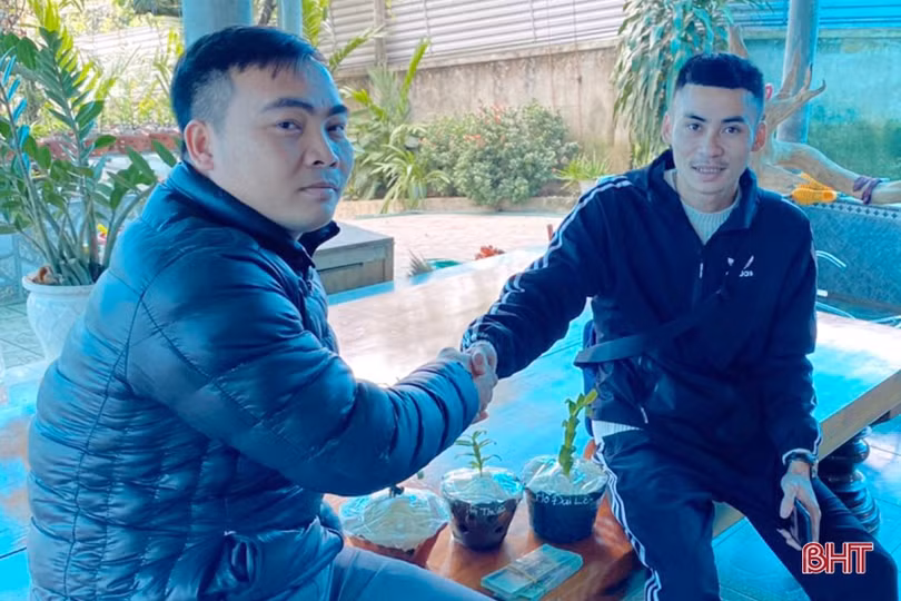 Vườn lan rừng tuyệt sắc của phó bí thư đoàn xã miền núi Hà Tĩnh