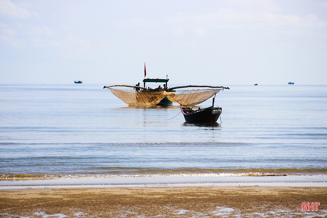 Ngư dân phía Nam Hà Tĩnh được mùa cá cơm, ruốc biển