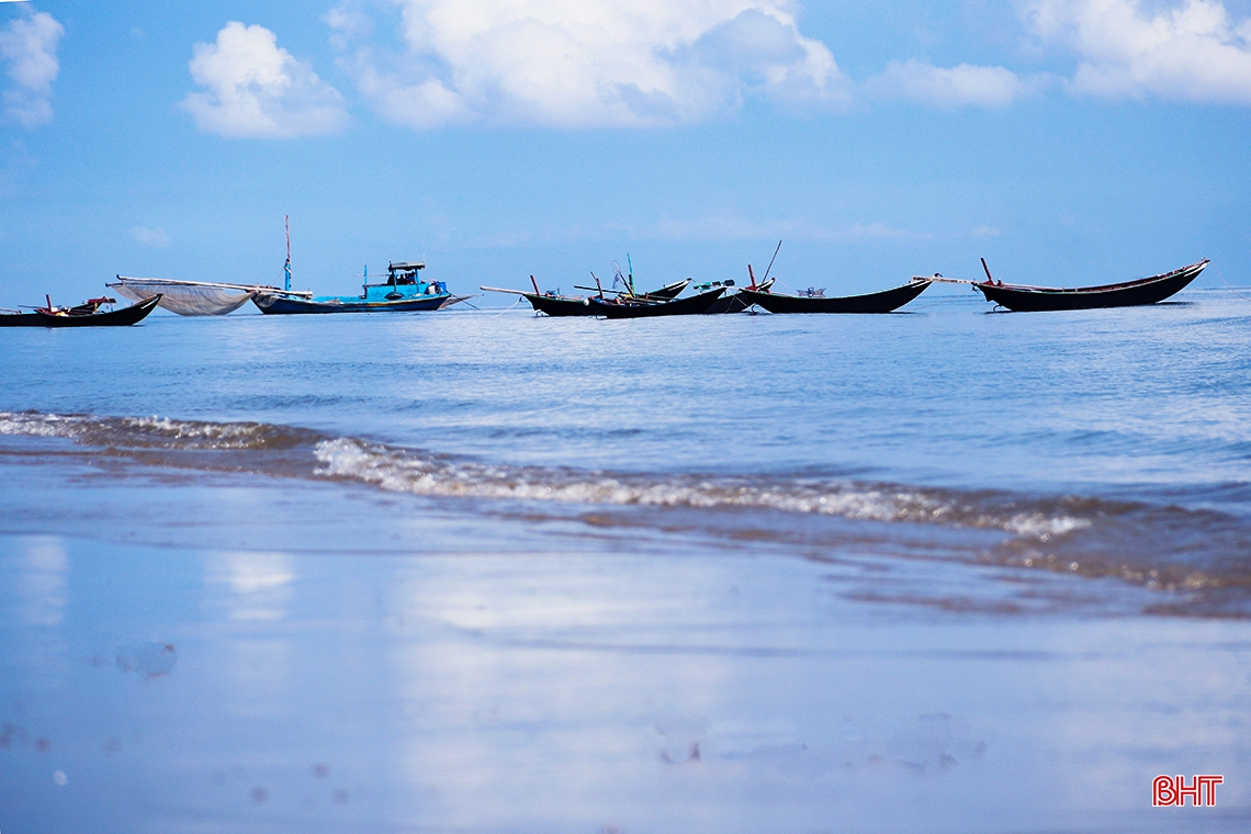 Ngư dân phía Nam Hà Tĩnh được mùa cá cơm, ruốc biển