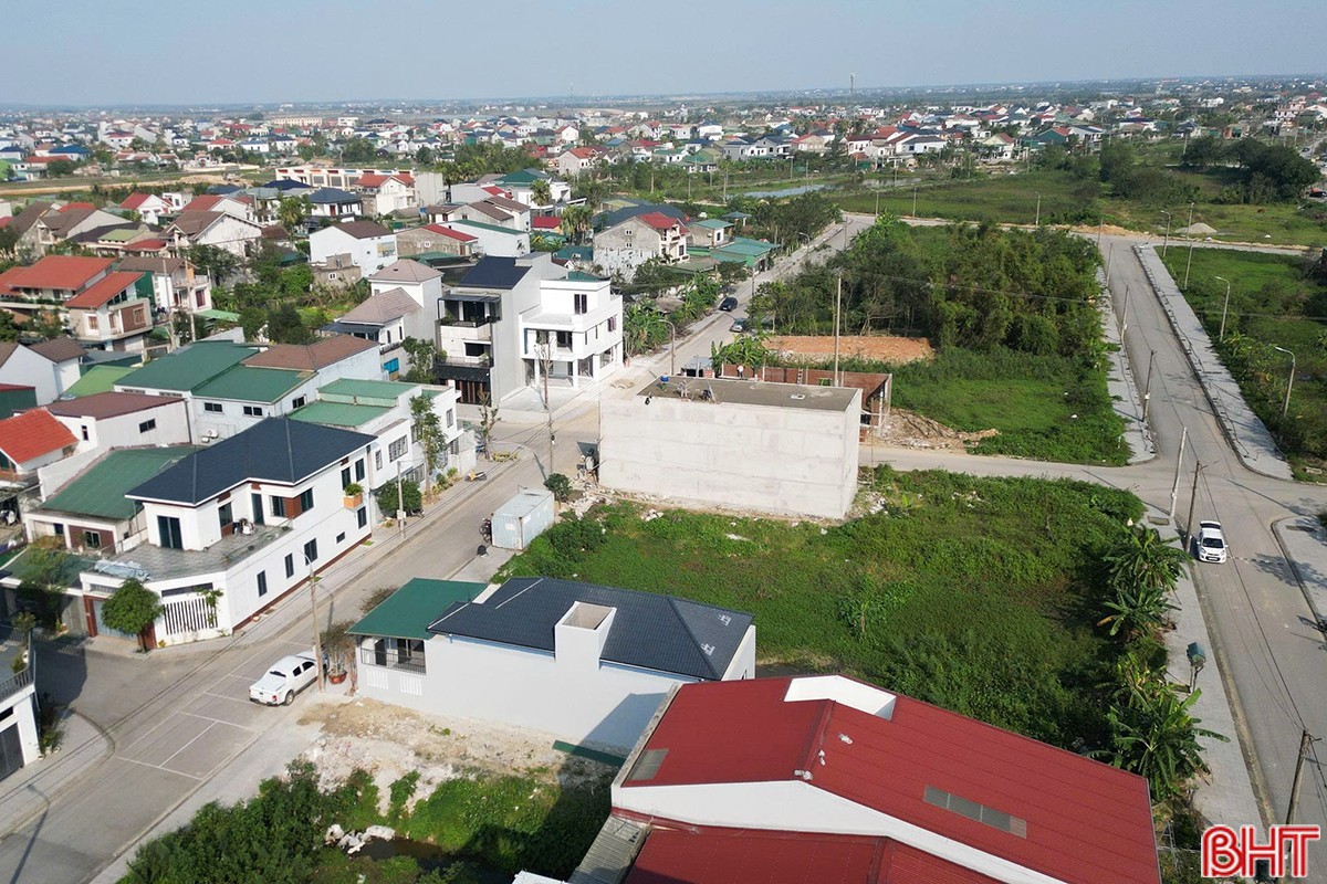 100-5.jpg