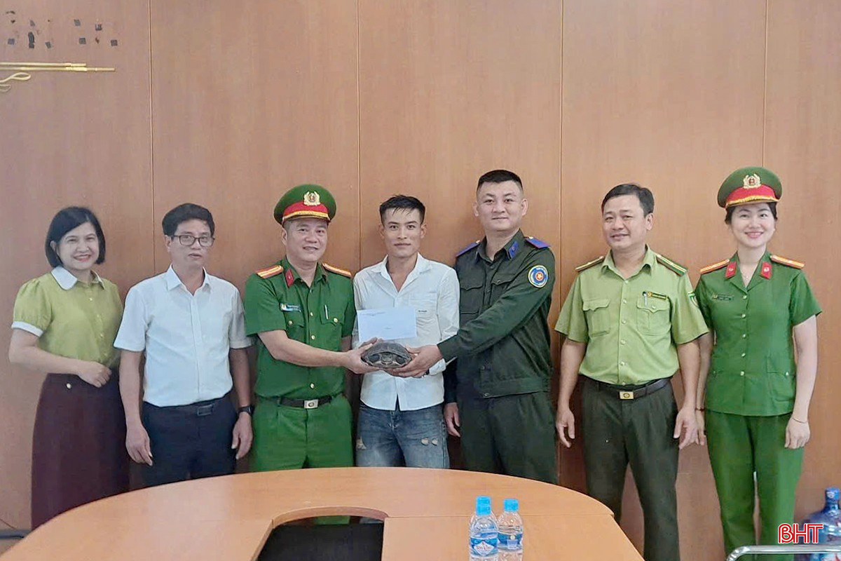 Người dân bàn giao cá thể rùa cổ sọc cho ngành chức năng