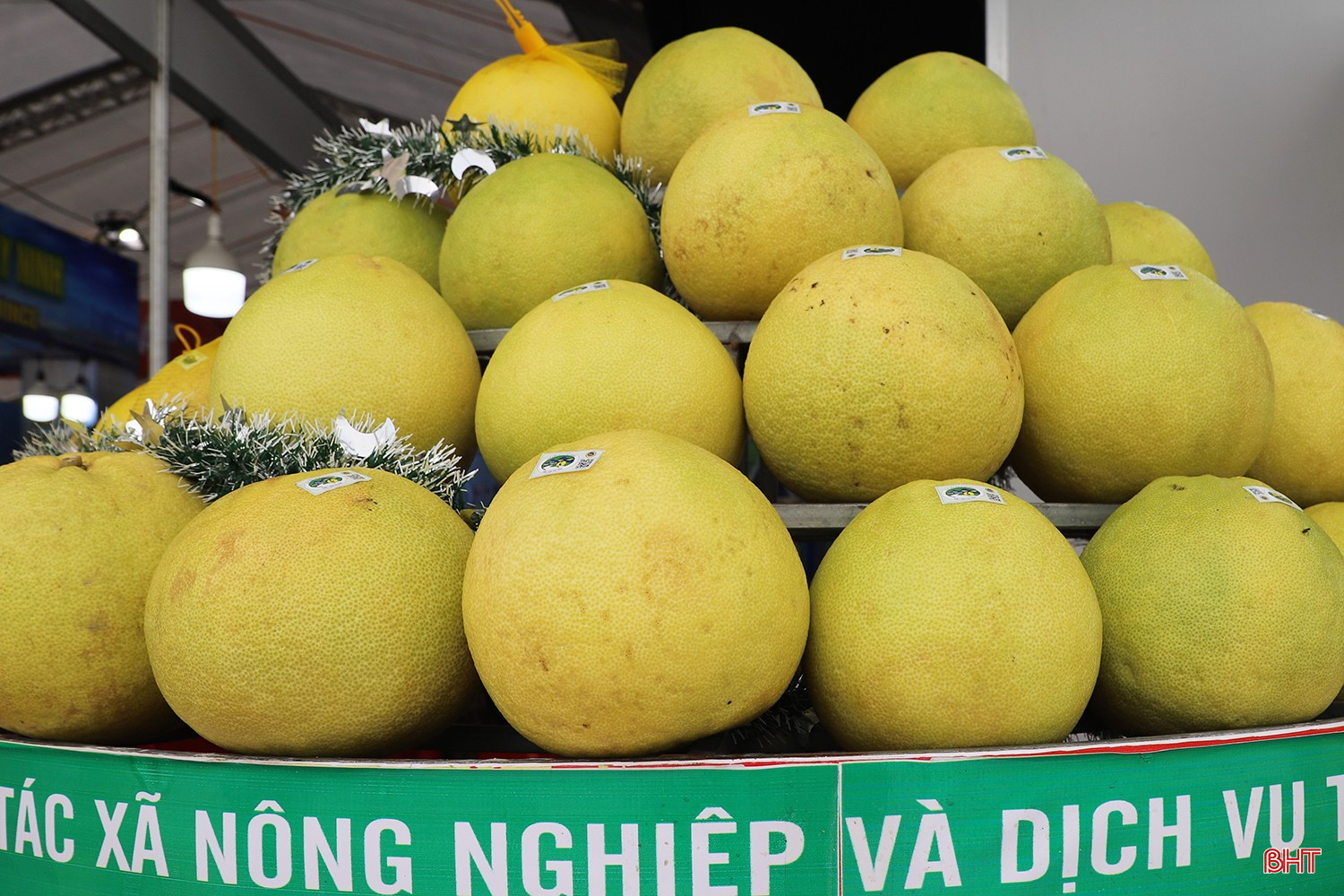 bqbht_br_img-7953.jpg