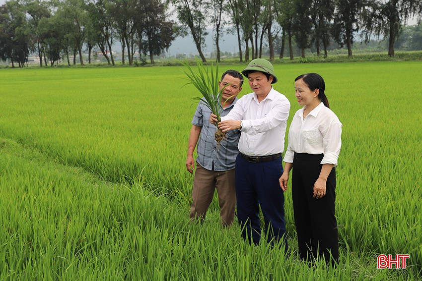 bqbht_br_88.jpg