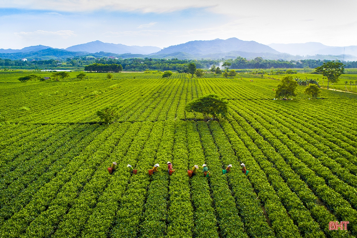 Du xuân qua miền di sản núi Hồng, sông La