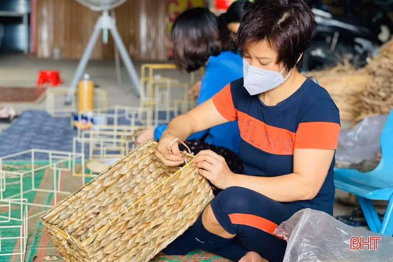 Nông dân Hà Tĩnh phấn khởi thu lợi từ... bèo tây