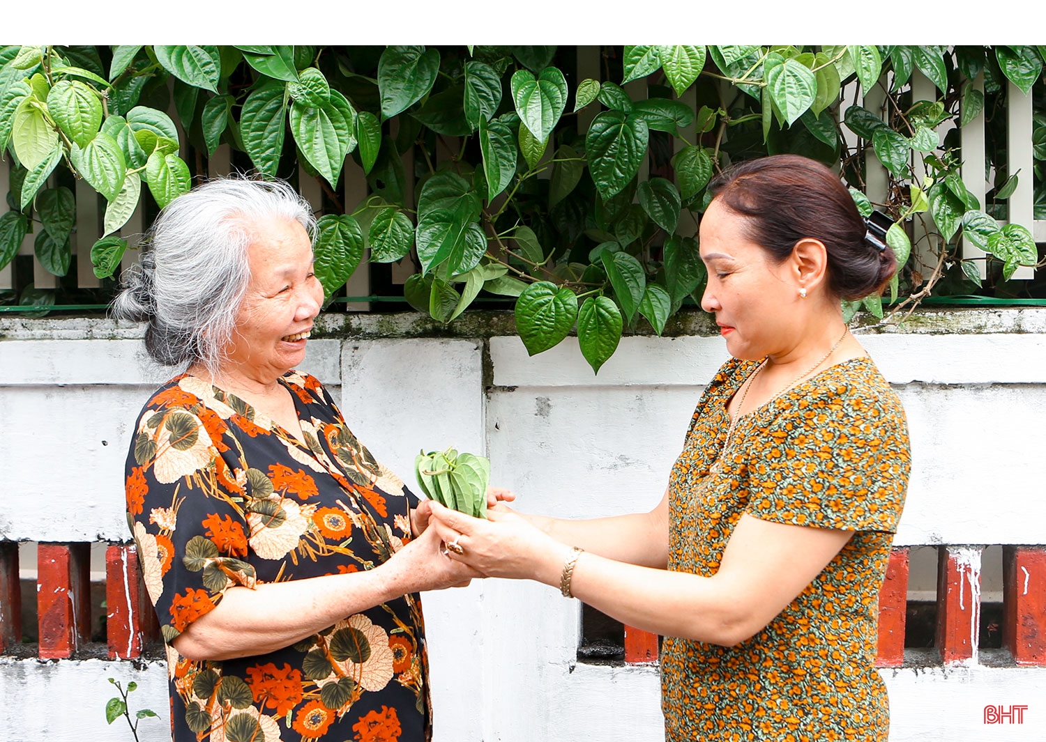 Chuyện từ những gia đình hạnh phúc