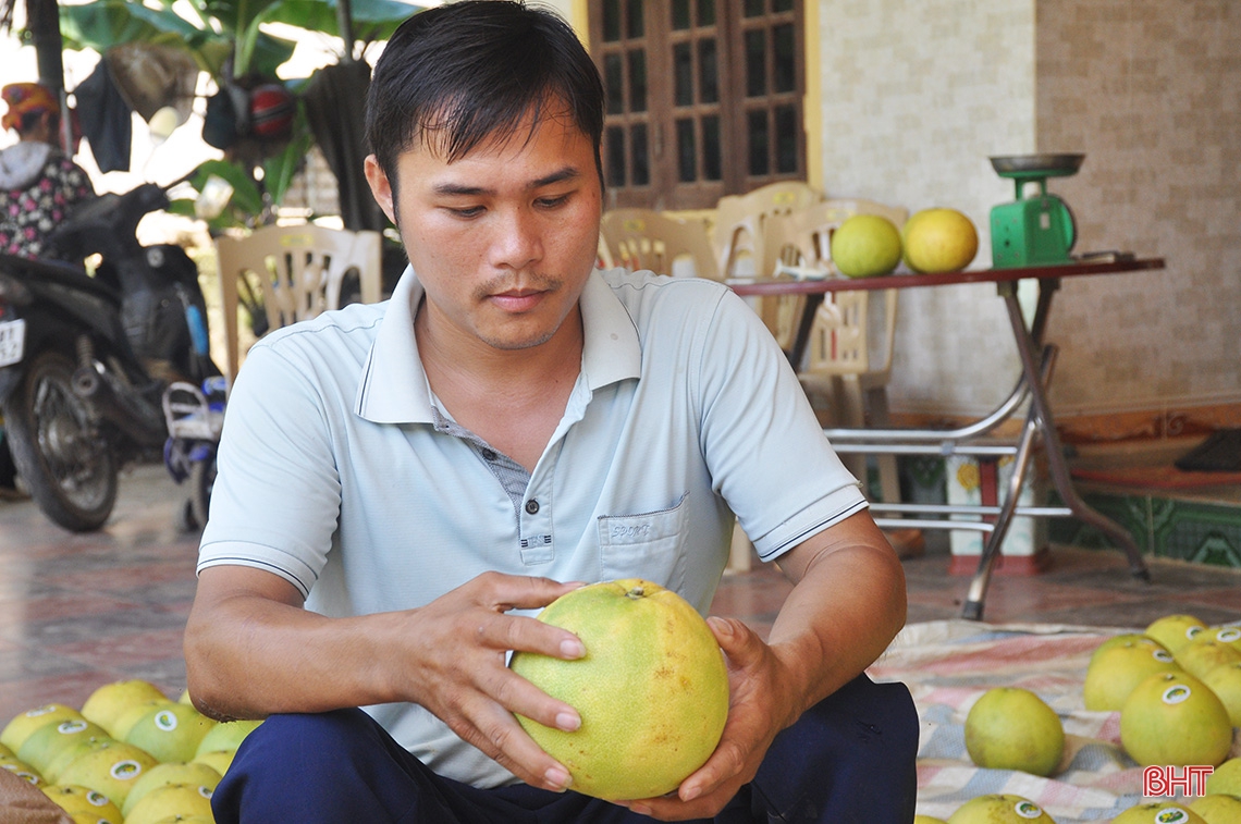 Hương Khê mùa bưởi chín...