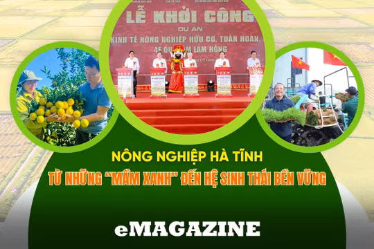 Nông nghiệp Hà Tĩnh (bài cuối): Kiến tạo động lực, nâng cao giá trị gia tăng