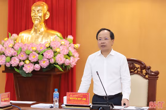 Ban Thường vụ Tỉnh ủy Hà Tĩnh cho ý kiến về các chính sách phát triển, bảo vệ môi trường