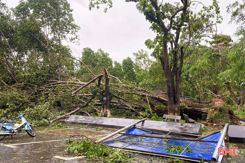 Tại Khu di tích Ngã ba Đồng Lộc, bão số 5 đã làm gãy đổ hàng loạt cây xanh, biển hiệu.