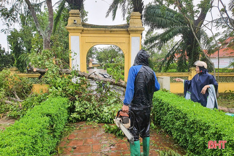 Dù thời tiết mưa lớn nhưng sáng 26/8, Ban quản lý Khu di tích Nguyễn Du đã tiến hành vệ sinh, thu dọn cây đổ, khắc phục tạm thời các hư hỏng, thiệt hại do bão gây ra.