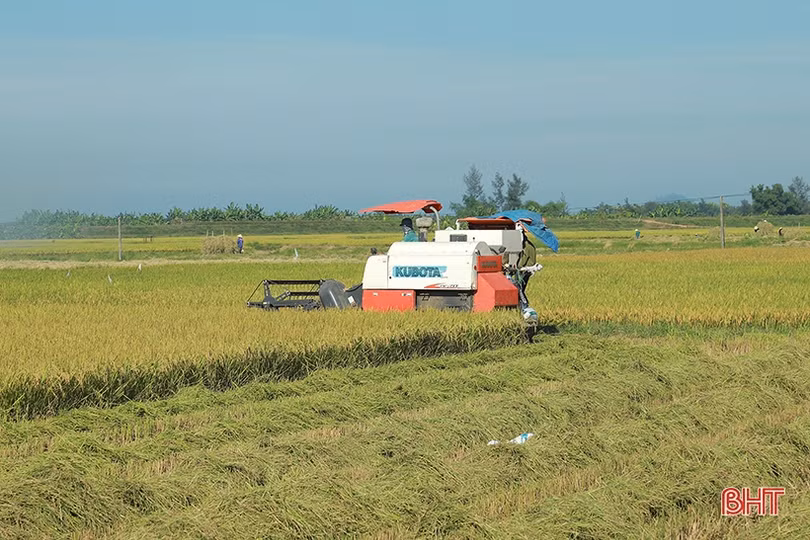 Niềm vui mùa gặt