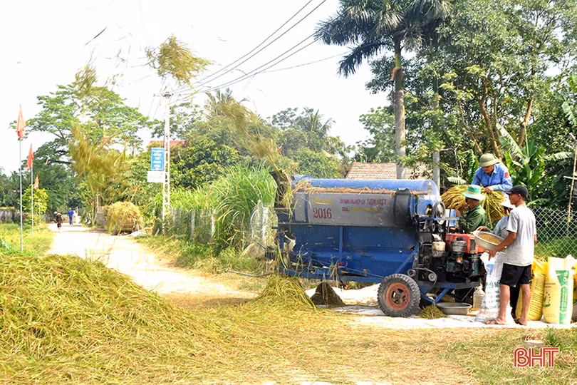Niềm vui mùa gặt