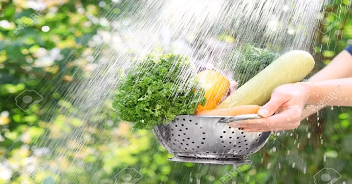 Những sai lầm khi luộc rau nạp thêm chất độc hại vào cơ thể