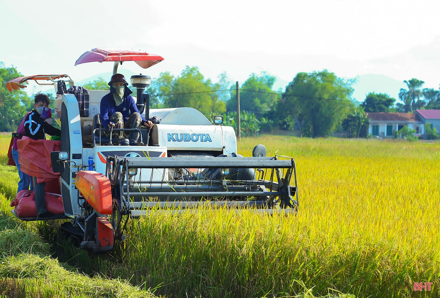 Hành động quyết liệt, tạo bứt phá cho năm giữa nhiệm kỳ