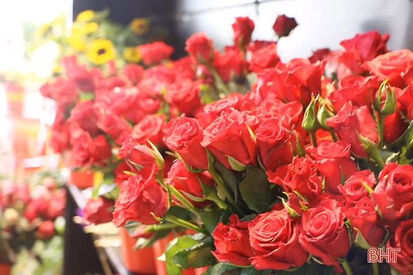 Hồng ngoại “hút khách” ngày Valentine