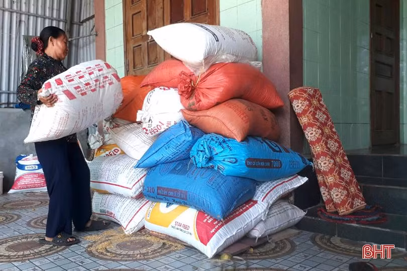 Gieo đúng lịch, cơ giới hóa trong sản xuất, huyện Kỳ Anh “về đích” thu hoạch lúa hè thu