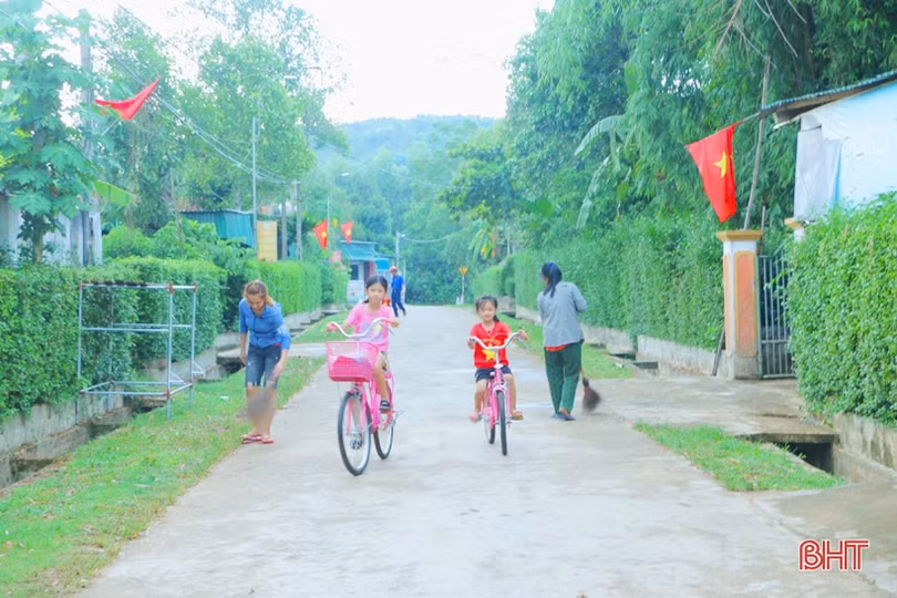 Ngắm những hàng rào xanh mướt, yên ả ở huyện miền núi Hà Tĩnh