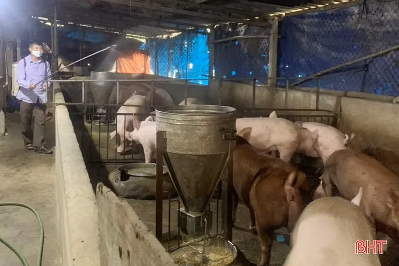 Công nghệ sinh học giải quyết hiệu quả ô nhiễm môi trường ở Hà Tĩnh
