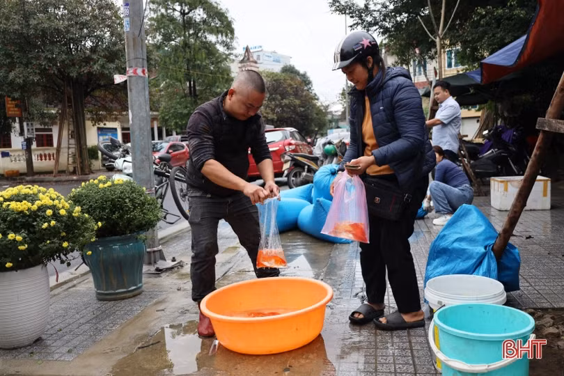 Người Hà Tĩnh tất bật sắm lễ cúng ông Công, ông Táo