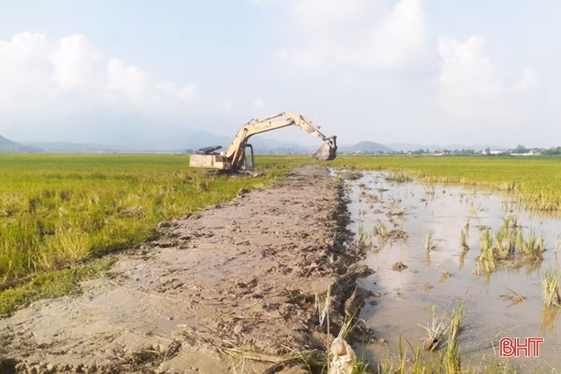 Cuộc “cách mạng” mới trên đồng ruộng Lộc Hà
