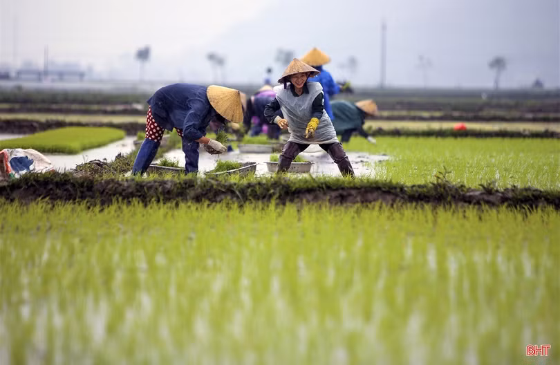 Các địa phương ở Hà Tĩnh sôi nổi hoạt động kỷ niệm 93 năm ngày thành lập Đảng