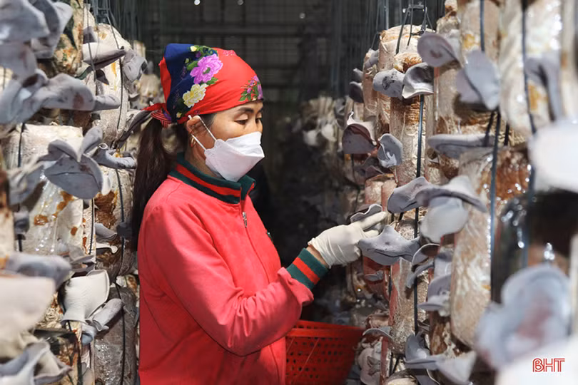 Thạch Hà - ấn tượng thu ngân sách năm 2022