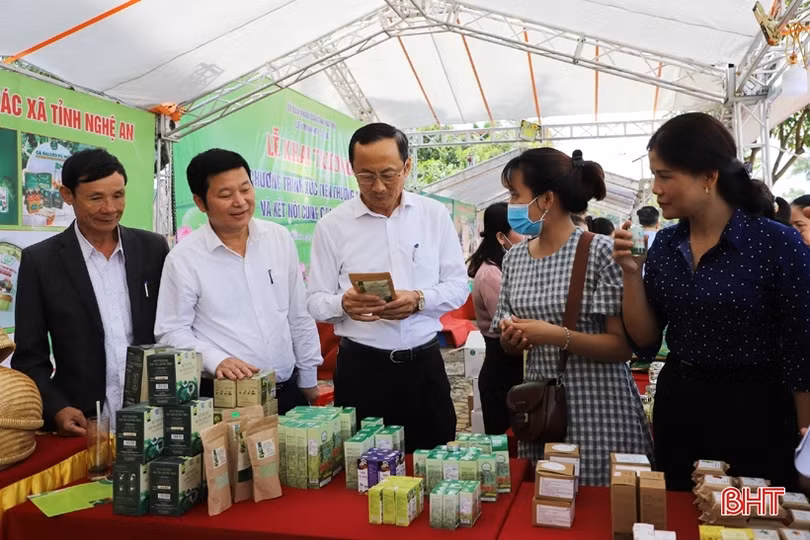 Phát triển kinh tế tập thể Hà Tĩnh tương xứng với tiềm năng
