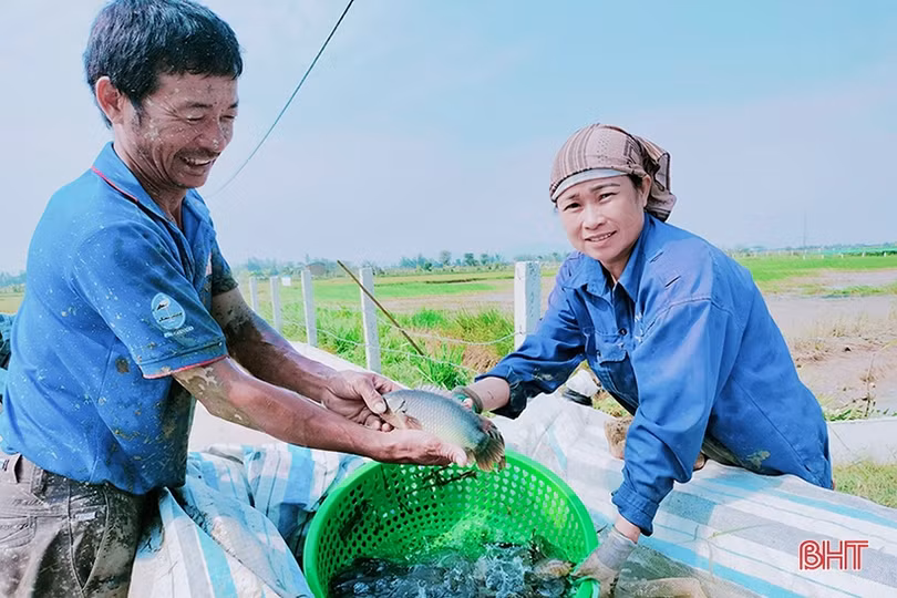 “Chìa khóa” mở nông nghiệp bền vững cho Cẩm Xuyên