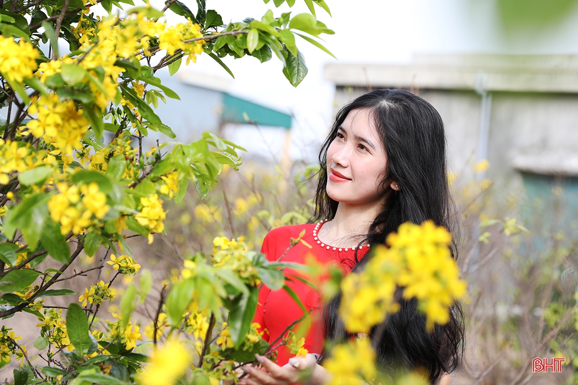 Rực rỡ sắc xuân trên đô thị trẻ phía Nam Hà Tĩnh