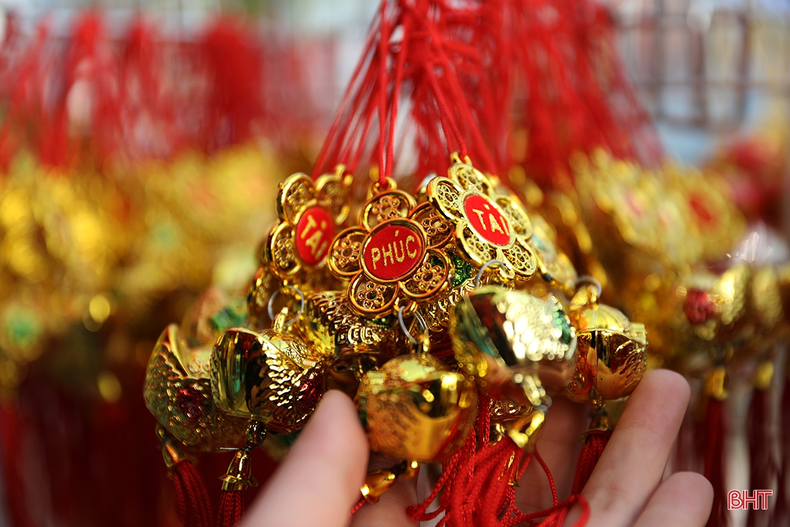 Rực rỡ sắc xuân trên đô thị trẻ phía Nam Hà Tĩnh