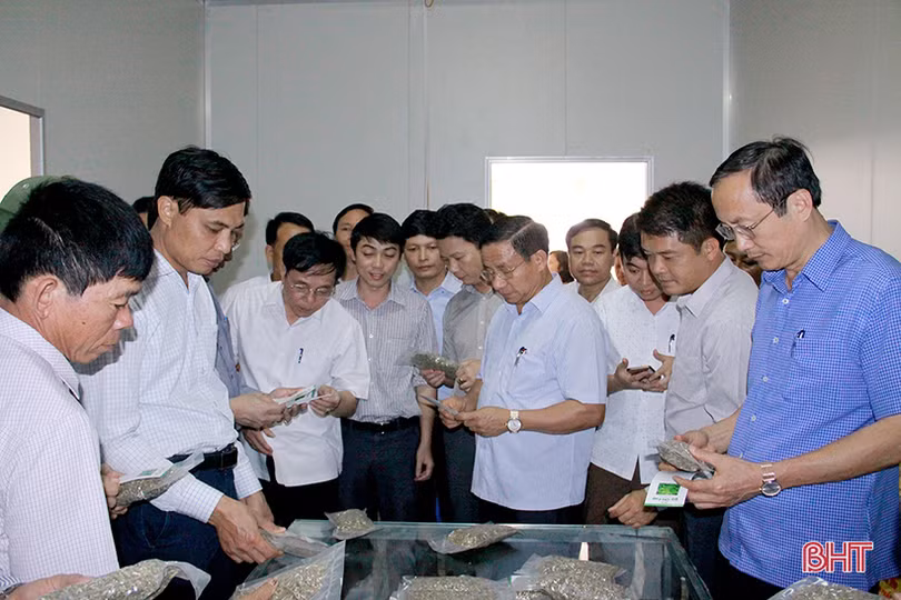 Chương trình OCOP: Trọng tâm trong phát triển kinh tế nông thôn Hà Tĩnh
