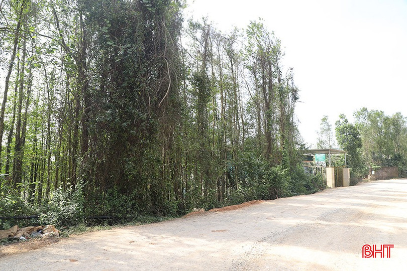 bqbht_br_9000.jpg