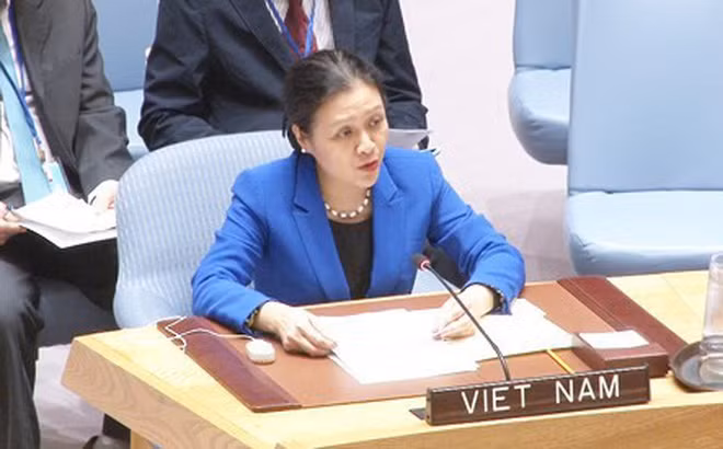 viet nam phe chuan hiep uoc cam vu khi hat nhan