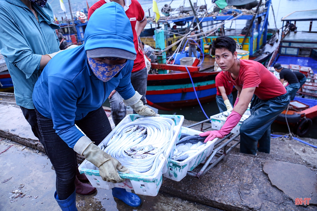Khai thác gắn với bảo tồn nguồn lợi hải sản - hướng đi tất yếu của ngư dân Hà Tĩnh