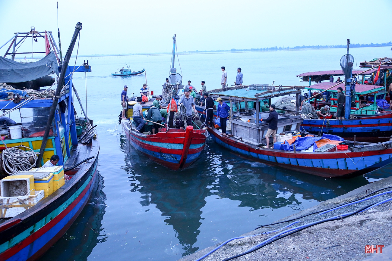 Khai thác gắn với bảo tồn nguồn lợi hải sản - hướng đi tất yếu của ngư dân Hà Tĩnh