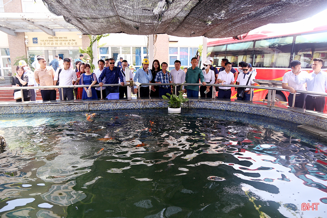Gần 100 doanh nghiệp, nhà đầu tư tham quan Khu kinh tế Vũng Áng