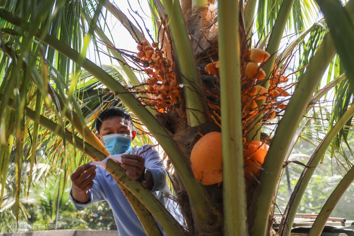 Người dân viếng nguyên Phó Thủ tướng Trương Vĩnh Trọng