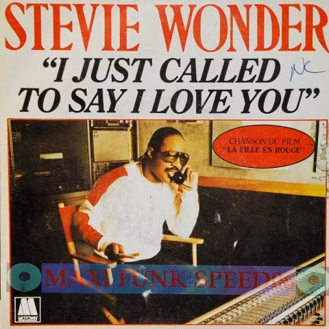 i just called to say i love you bai hat day anh sang cua stevie wonder