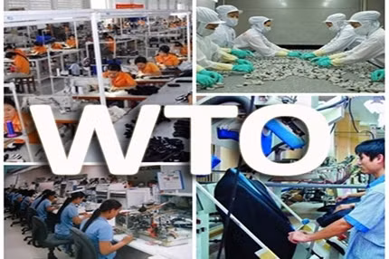 10 nam gia nhap wto va cau hoi con lai