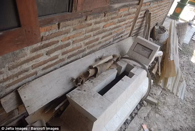 nguoi gia nhat the gioi mung sinh nhat 146