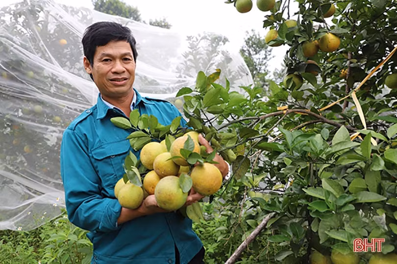 Nông nghiệp Hà Tĩnh - khi thách thức cũng là cơ hội