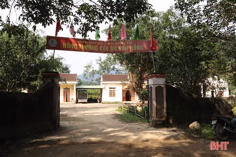 Chuyện về nông trường cao su 3 “không” ở vùng biên Hà Tĩnh