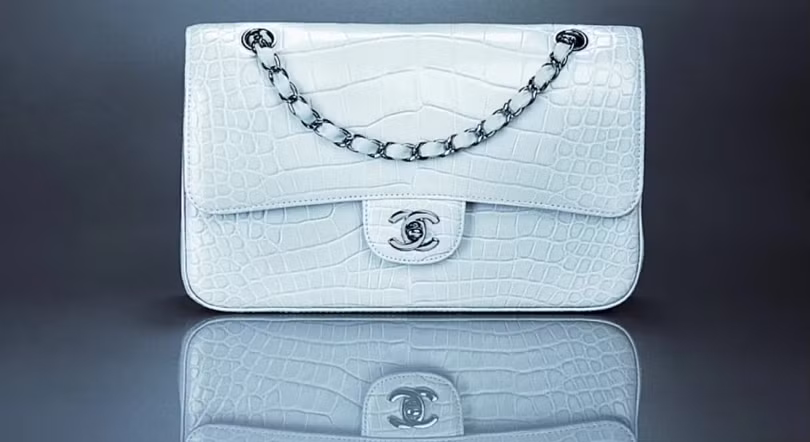 Hãng Chanel tuyên bố ngừng dùng da động vật quý hiếm làm đồ thời trang