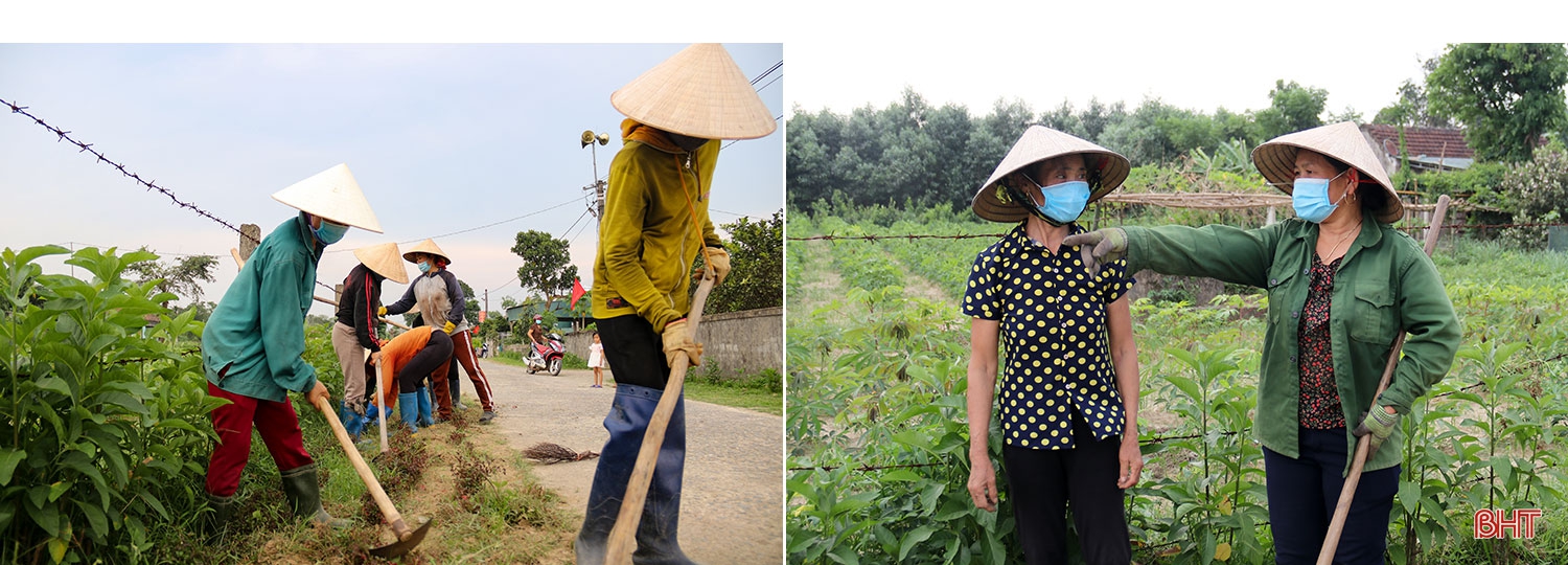 Hành trình 16 năm bền bỉ của nữ bí thư chi bộ một lòng vì dân ở Hà Tĩnh