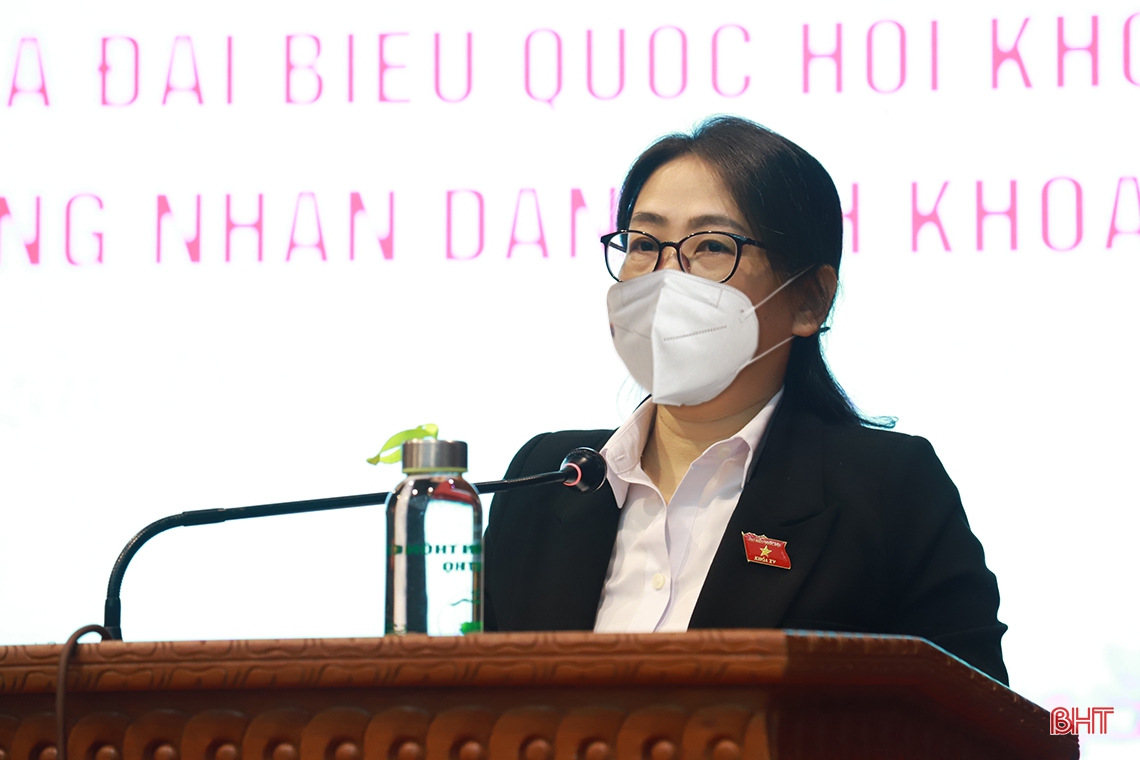 Cử tri Đức Thọ kiến nghị các vấn đề về xây dựng hạ tầng nông thôn mới, phát triển nông nghiệp