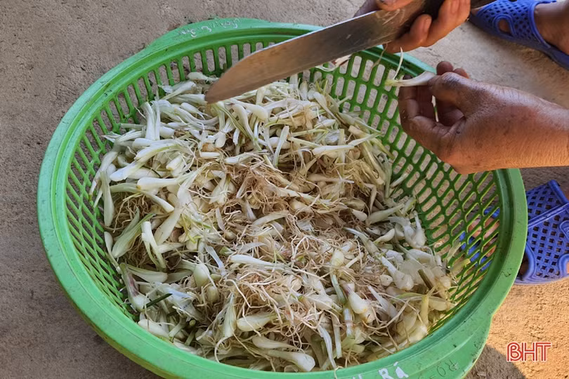 Khám phá tổ hợp sản xuất thương hiệu nhút mít mới ở Hà Tĩnh