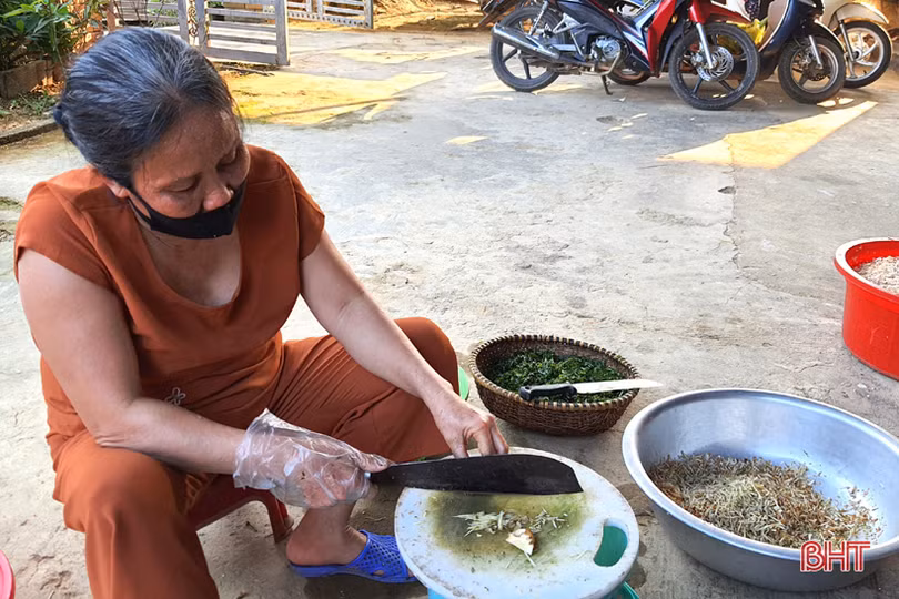 Khám phá tổ hợp sản xuất thương hiệu nhút mít mới ở Hà Tĩnh