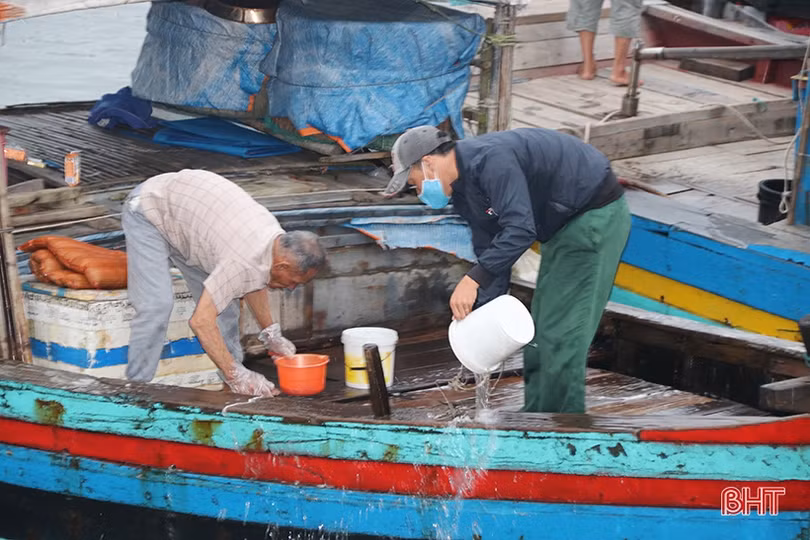 Về Hà Tĩnh đi chợ cá sớm mai